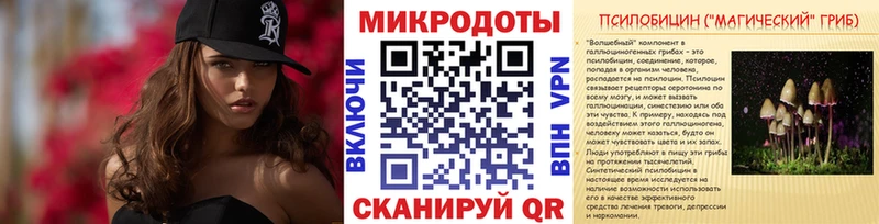 Галлюциногенные грибы Psilocybine cubensis  сколько стоит  Десногорск 